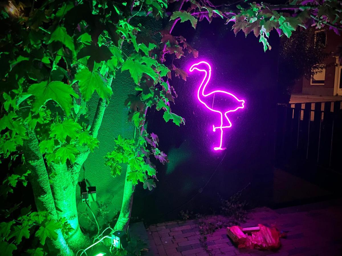 Flamingo Studio'S Zeeland Schoondijke Екстер'єр фото